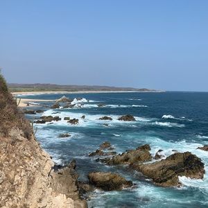 Meet your Posher, Robin